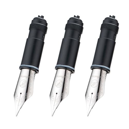 Asvine 3 PCS Fountain Pen Replaced Nib for P36, P50, P80, and V200 Series, Silver #6 EF/F/M Nib Set - Image 2