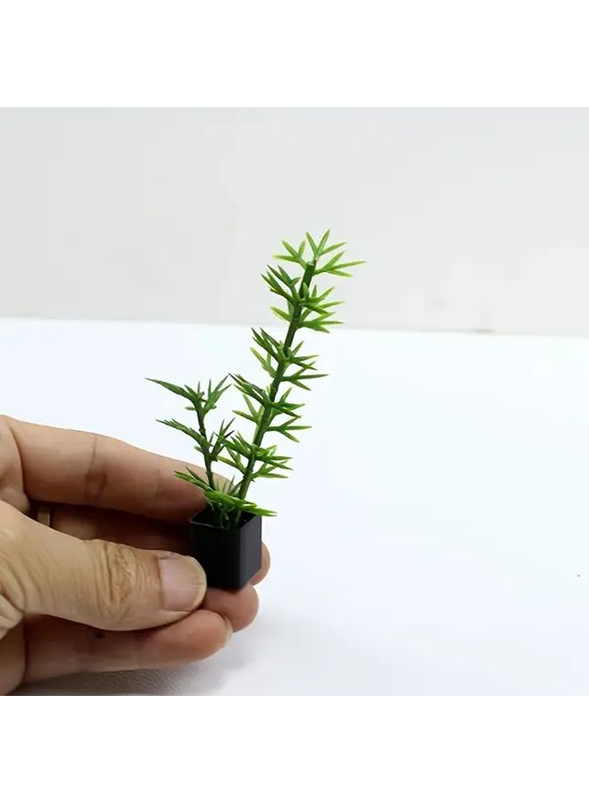 Miniature Coconut Tree Plant With Detailed Green Foliage For Indoor Home Decor - Image 4