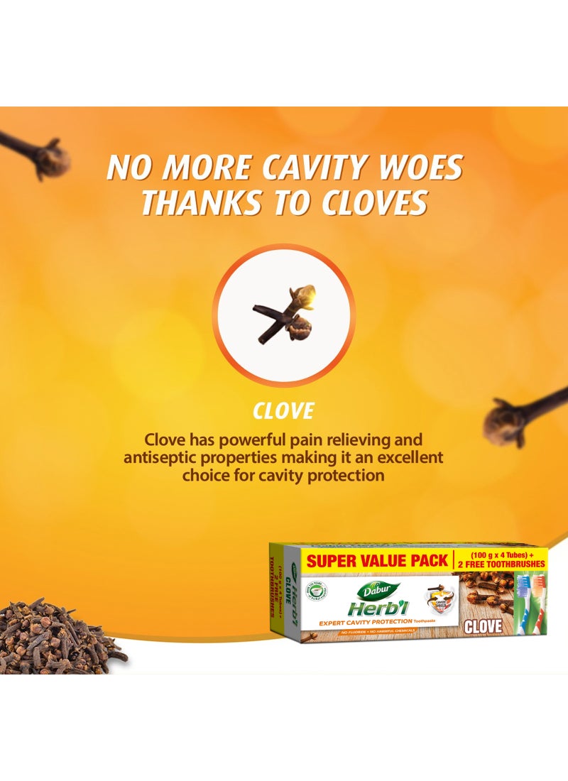 دابر معجون أسنان عشبي للحماية من التسوس بالقرنفل 4x100جم - Image 4