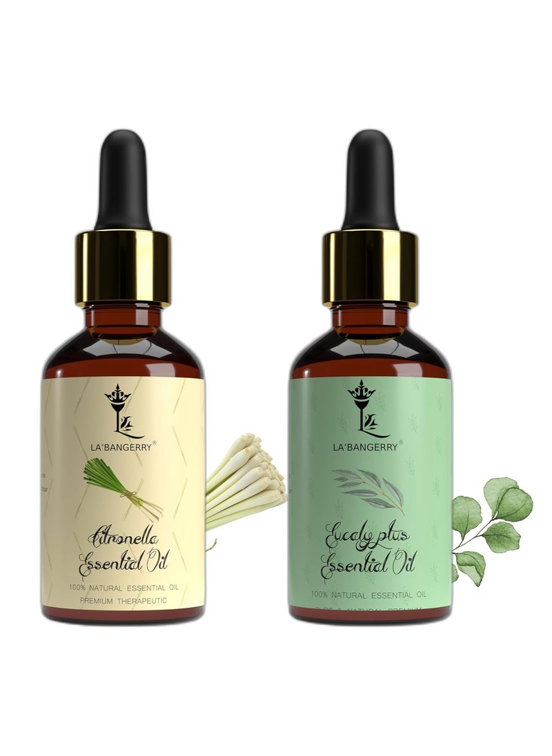 LA'BANGERRY LABANGERRY Eucalyptus Citronella Great Essential Oil Combo For Diffuser Humidifier Sinus Cold Organic Aromatherapy Essential Oil Gift Set For Skin Hair Scalp And Massage For Men Women 30 ml Each  - Image 1