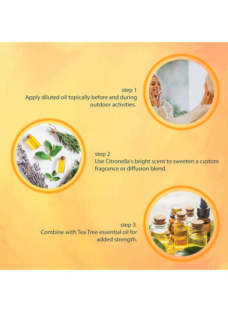 LA'BANGERRY LABANGERRY Eucalyptus Citronella Great Essential Oil Combo For Diffuser Humidifier Sinus Cold Organic Aromatherapy Essential Oil Gift Set For Skin Hair Scalp And Massage For Men Women 30 ml Each  - Image 4