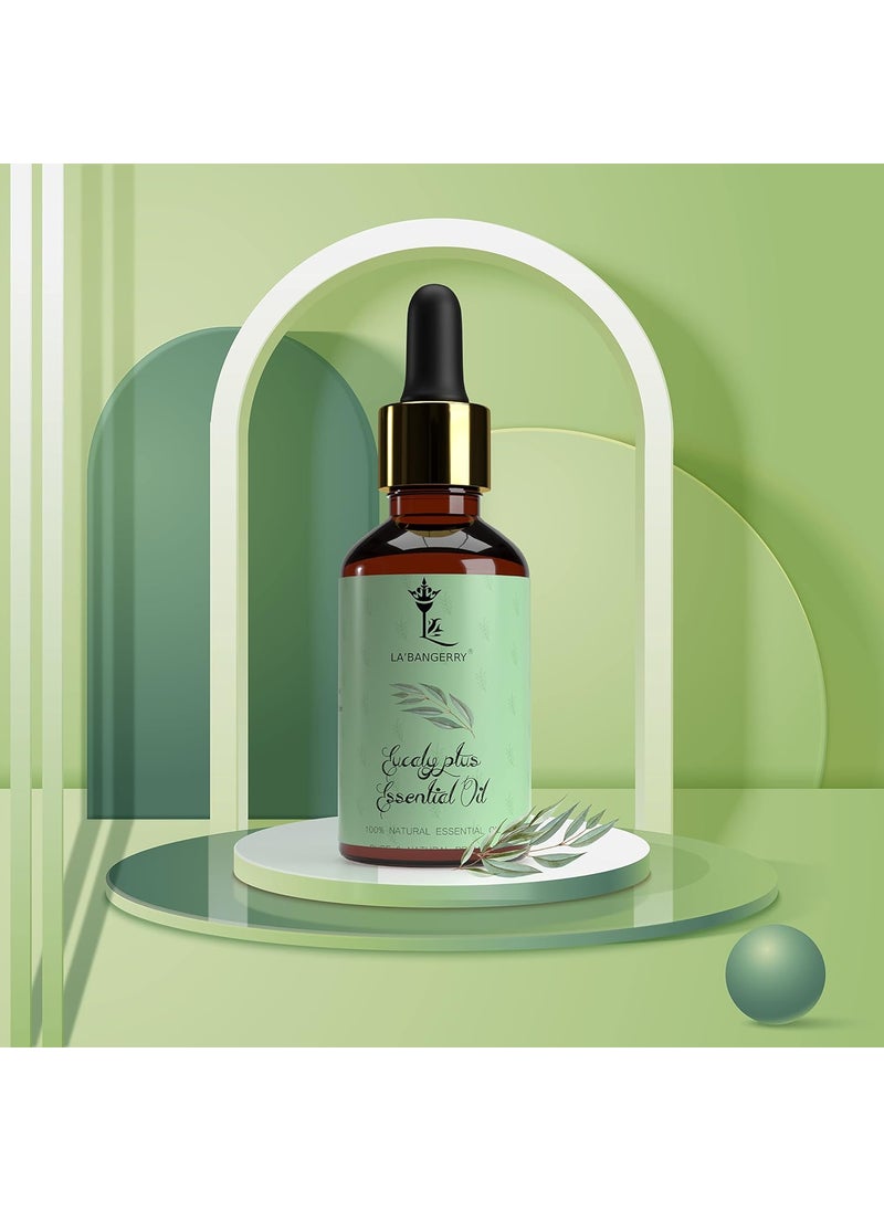 LA'BANGERRY LABANGERRY Eucalyptus Citronella Great Essential Oil Combo For Diffuser Humidifier Sinus Cold Organic Aromatherapy Essential Oil Gift Set For Skin Hair Scalp And Massage For Men Women 30 ml Each  - Image 3