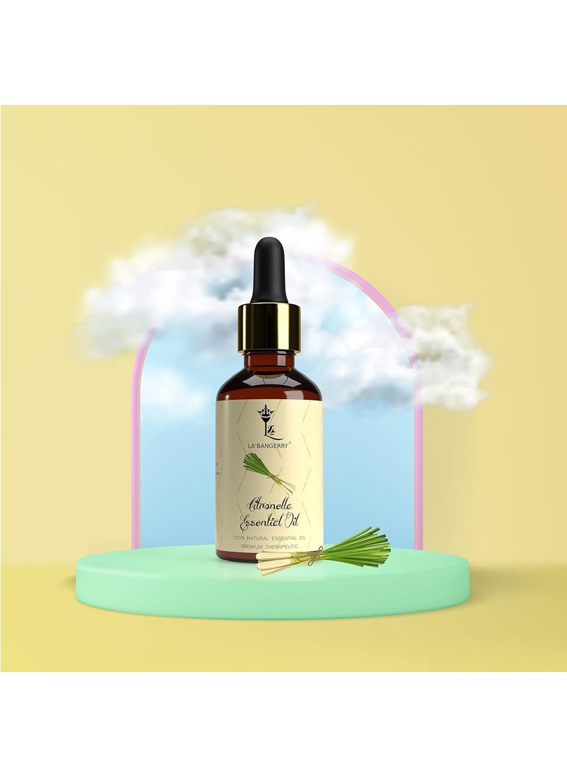 LA'BANGERRY LABANGERRY Eucalyptus Citronella Great Essential Oil Combo For Diffuser Humidifier Sinus Cold Organic Aromatherapy Essential Oil Gift Set For Skin Hair Scalp And Massage For Men Women 30 ml Each  - Image 2