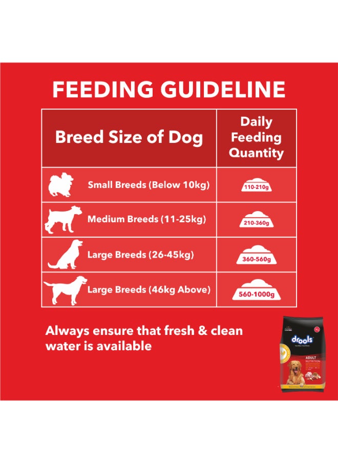 Adult Dry Dog Food Chicken And Egg - pzsku/Z502272768A1371EB1F19Z/45/_/1737491171/bae87f47-fc87-4cf0-a99f-16ced64dfd95