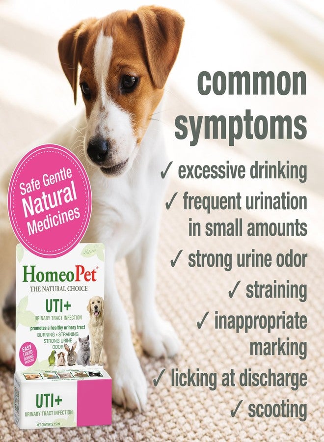 HomeoPet UTI Plus Urinary Tract Relief, Safe and Natural Dog and Cat UTI Supplement, 15 Milliliters - Image 3