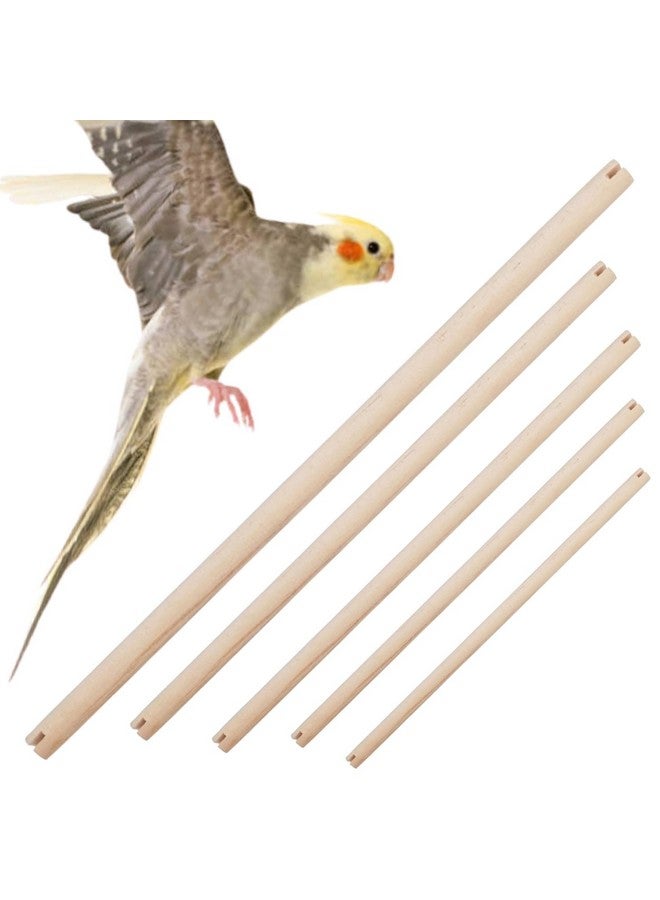 سايج سكوير مجثم الطيور من الخشب الطبيعي للقفص - يعزز صحة الأقدام والأظافر، مثالي للببغاوات والكوكتيل، طبيعي ومتين ومكان مريح للراحة لصديقك الريشي (عبوة من 5 قطع) - Image 1