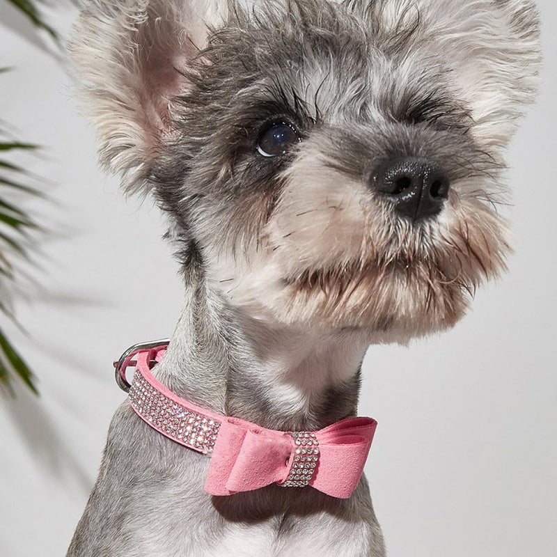 Adjustable Rhinestone Dog Collar With Bow Tie For Small Dogs Puppies Hiking Training - Image 4