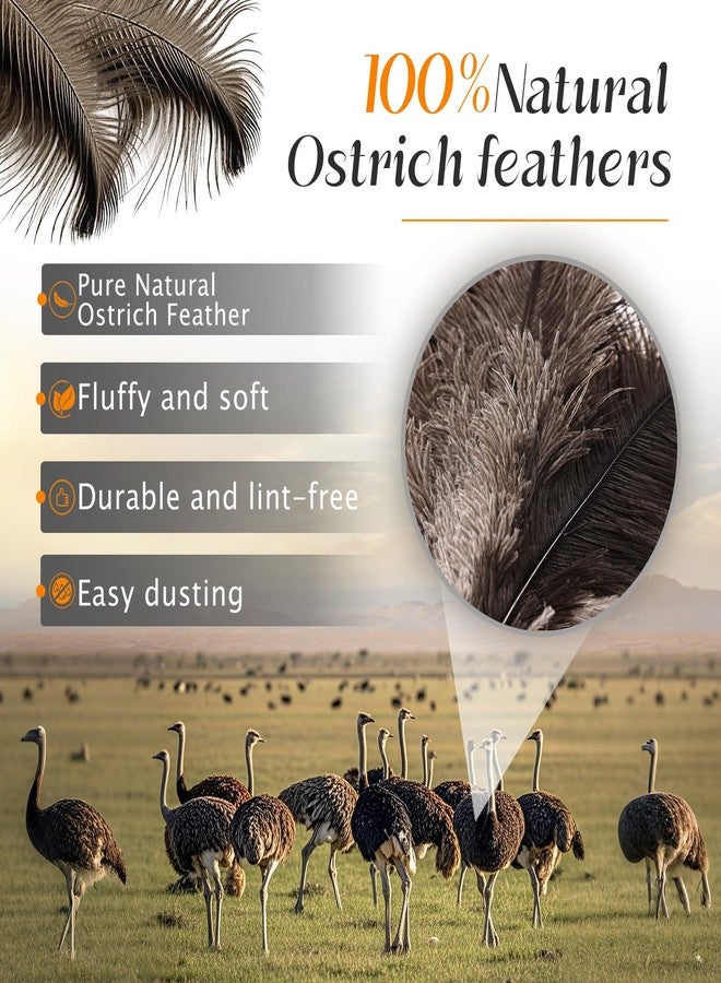 MAOFENG Ostrich Feather Duster 62 Inch Fluffy Natural Genuine Ostrich Feathers Plastic Handheld Eco-Friendly Reusable Ostrich Feather Duster for Cleaning Supplies - Image 4