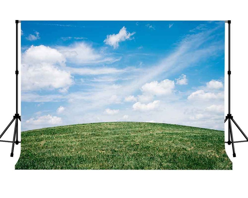 Ççs Natural Photography Backdrops 10 X 7 FT Green Grassland Photography Backdrop White Clouds and Blue Sky Background for Photo Booth Screen Backdrop or YouTube Background Props ST170055