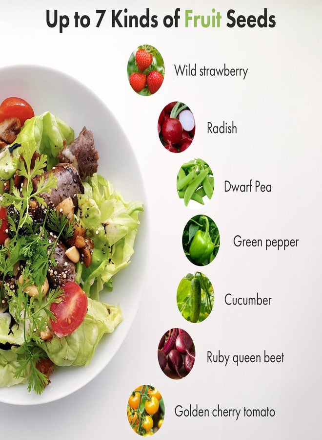 LYKOCLEAN Fruit Seed Kit for AeroGarden, iDOO Hydroponics Growing System Indoor Gardening, 7-Pod, Red Strawberry, Golden Cherry Tomato, Green Pepper, Cucumber, Dwarf Pea, Ruby QueenBeet, 350+ Seeds - Image 2