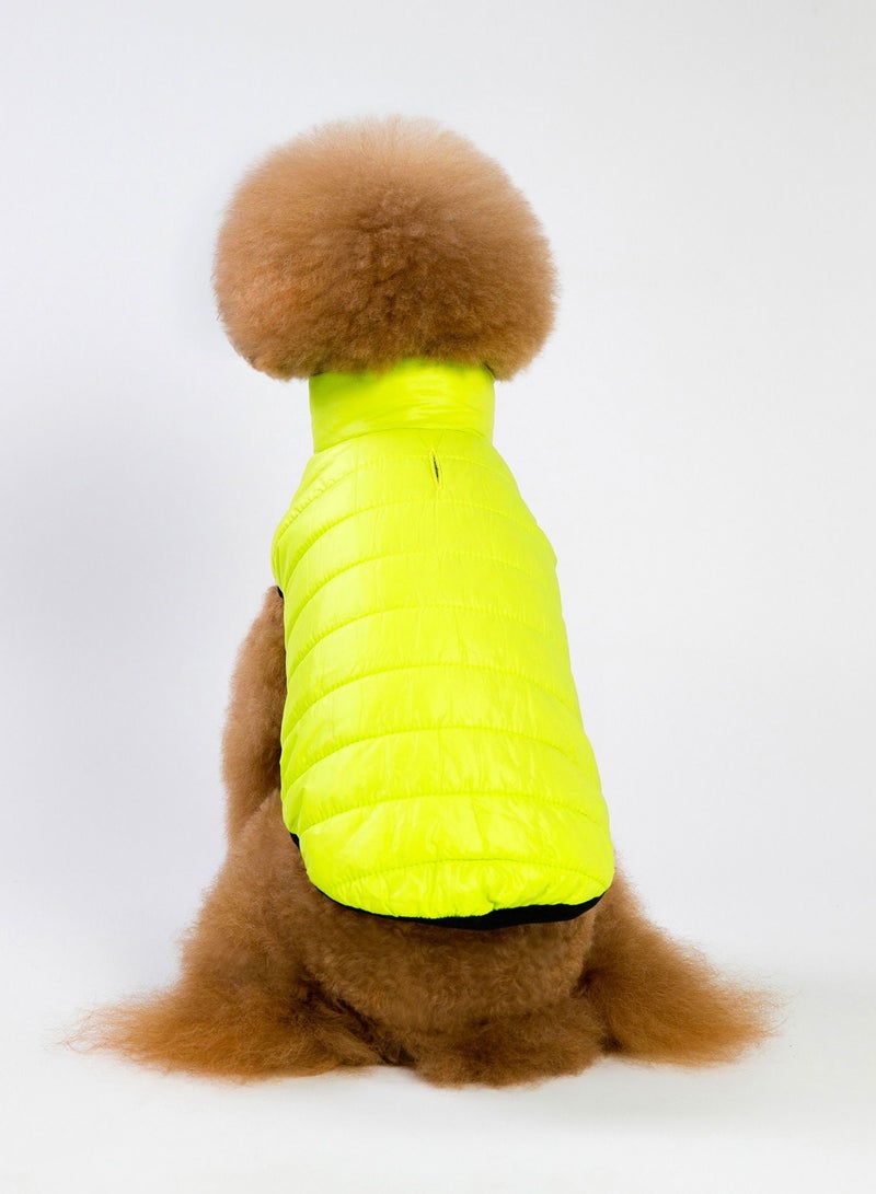 Loquat Pet clothes with thick coats Yellow - Image 3