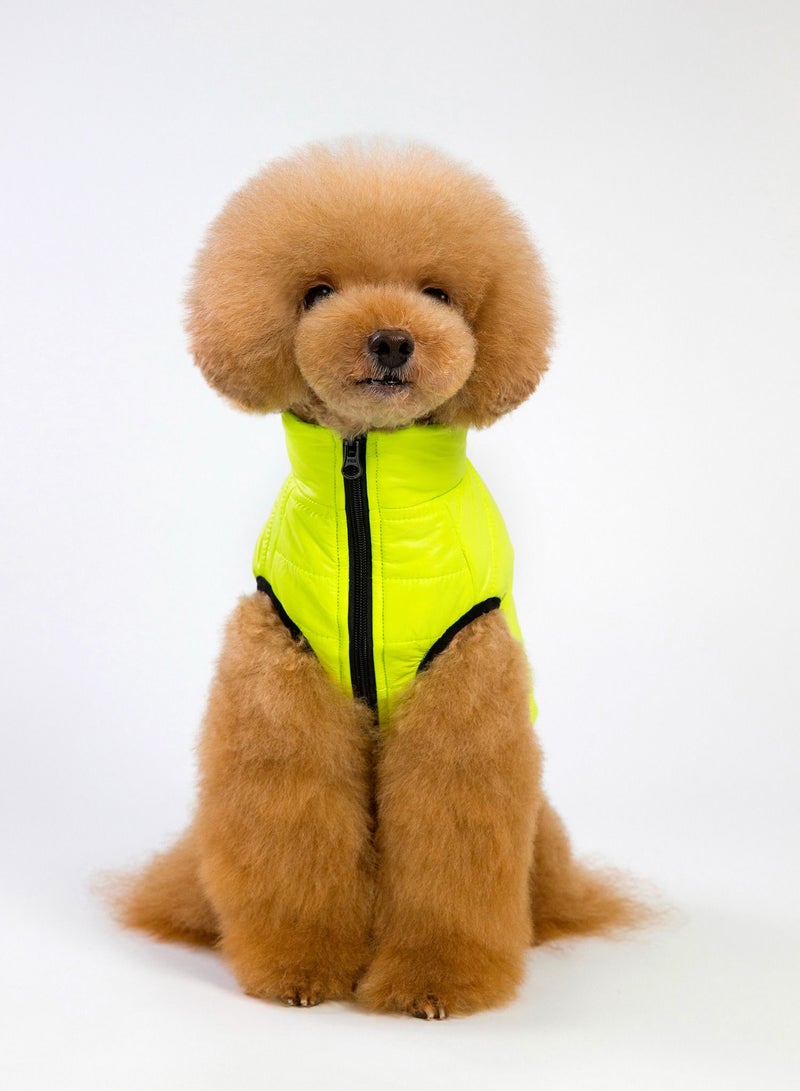 Loquat Pet clothes with thick coats Yellow - Image 1