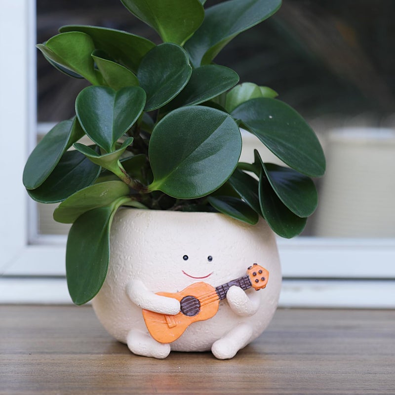 UMESONG Smily Face Planter Pot with Drainage Hole Cute Resin Head Planters for String of Pearls Plant Live Unique Guitar Succulent Pots for Indoor Outdoor Plants Gift IdeaI for Mother Christmas - Image 1