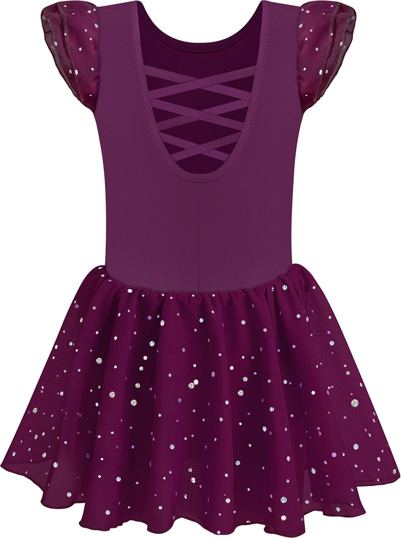 MOLLDAN Girls Dance Leotards for Ballet Dress Shiny Skirt Ruffle Sleeve Crisscross Back(QT4043-10-L) - Image 1