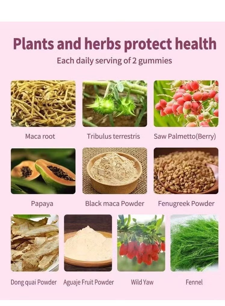 Wins Town 60 Count Maca Plus Gummies 1500 Mg Big Booty Enhancer With Black Gluteus Boost Vitamins Fruit Flavor - Image 3