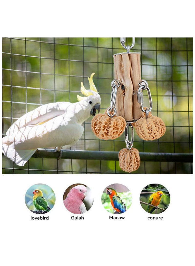YdingYshengL Parrot Toys,Parrot Chewing Toys, Bird Toys Natural Hardwood Walnut, Hanging Toy for Parrots, African Grey,Cockatoos, Cockatiels Medium and Large Birds - Image 4