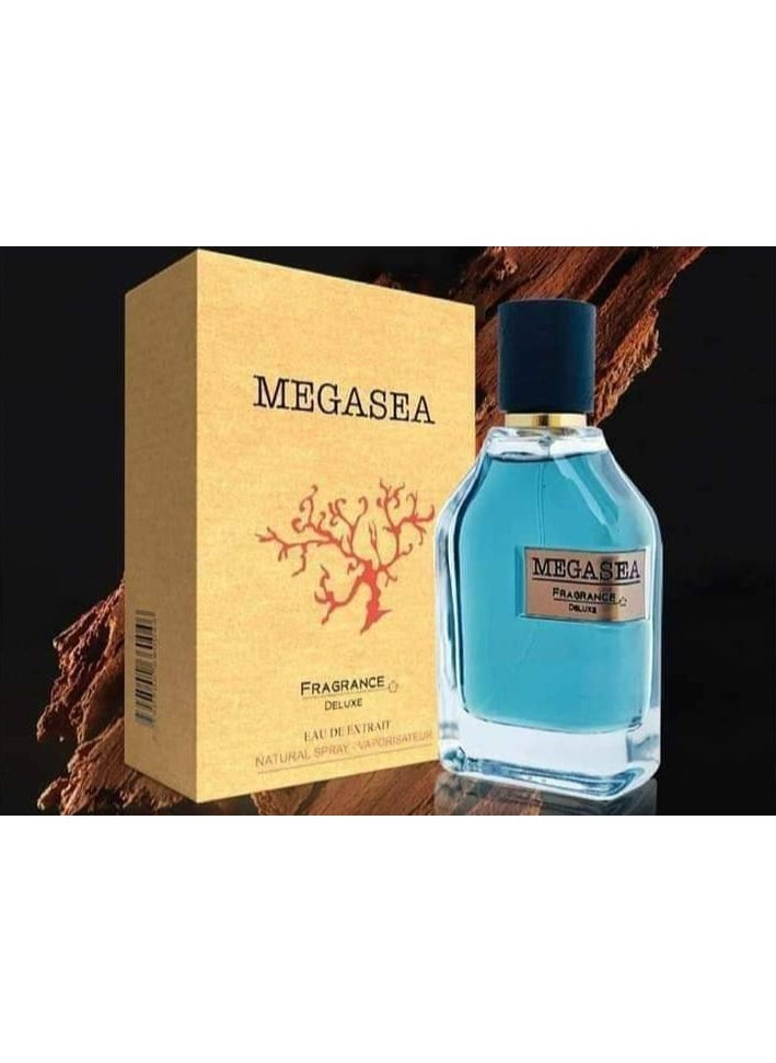 Wadi Al Khaleej Oud Eau de Parfum 75 ml  - Image 2
