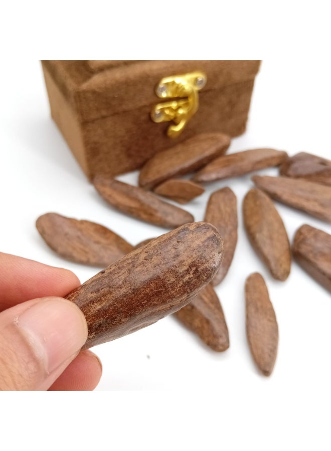 Akarm Akarim Maroki Royal Oud (Enhanced) - 1 Ounce (28g) with Velvet Box - Image 3