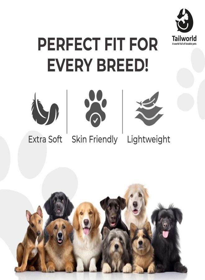 Tailworld Nylon Dog Harness | Extra Soft, Skin Friendly & Lightweight | Harness for Small to Medium Dogs | Durable and Super Comfortable for All Dogs | for All The Dog Breeds - Image 5