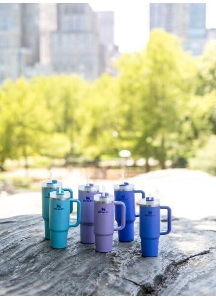 Quencher H2.0 FlowState Stainless Steel Vacuum Insulated Tumbler with Lid and Straw for Water, Iced Tea or Coffee, Smoothie and More, 30 oz Iris