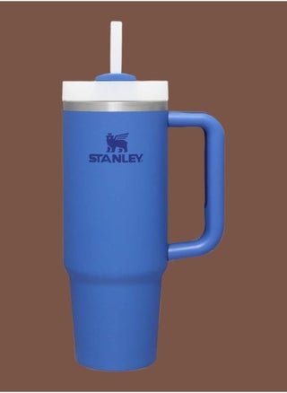 Quencher H2.0 FlowState Stainless Steel Vacuum Insulated Tumbler with Lid and Straw for Water, Iced Tea or Coffee, Smoothie and More, 30 oz Iris - pzsku/Z5034E238FC7B9116E6CFZ/45/1747309681/e3f59036-6b39-4bc4-9cf0-afa2f6600219