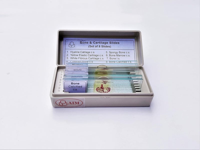 Aim شرائح العظام والغضاريف - مجموعة من 8 (شرائح مجهزة ميكروسكوبياً) - Image 2
