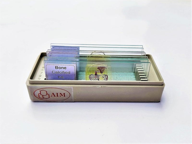 Aim شرائح العظام والغضاريف - مجموعة من 8 (شرائح مجهزة ميكروسكوبياً) - Image 1