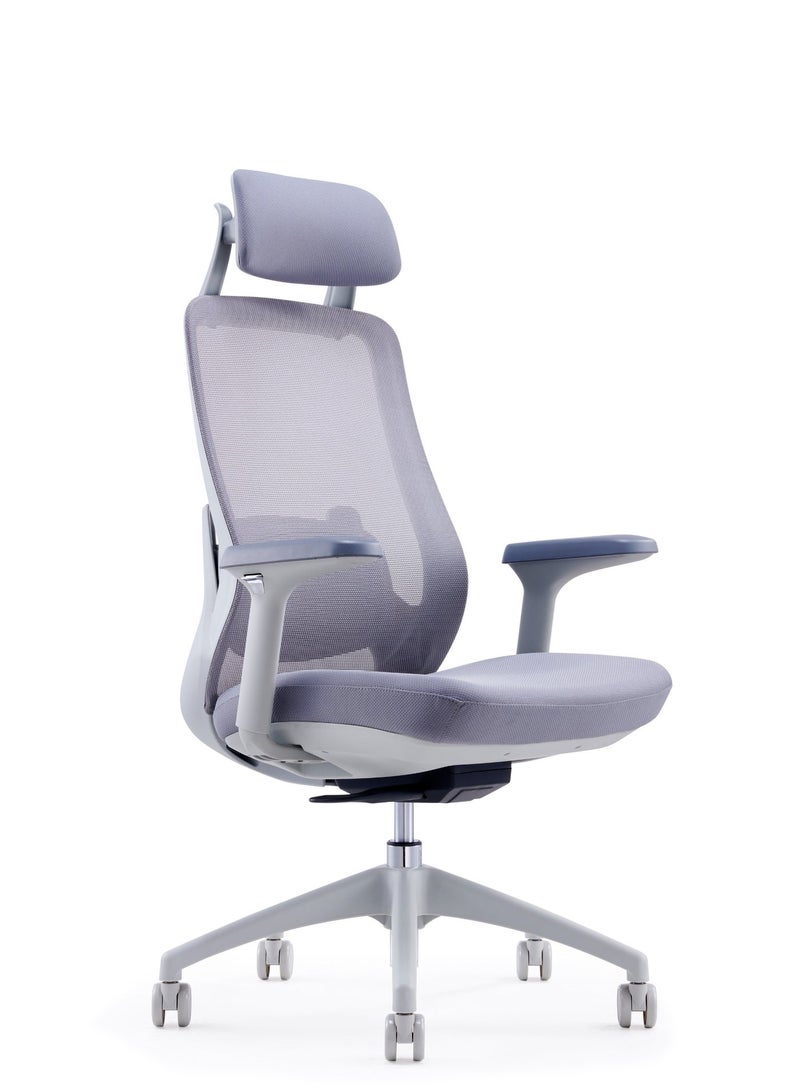Sky Land Skyland Massage Office Chair with Wireless Heated Lumbar Massager, High-Back Mesh Ergonomic Desk Chair, Adjustable Headrest & 2D Armrests (Grey) - Image 1