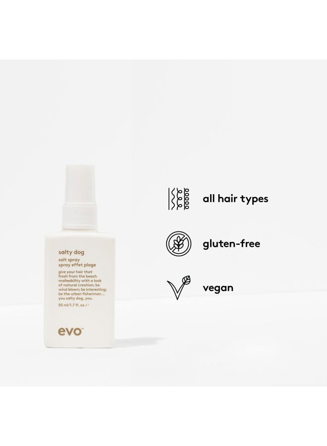 EVO Salty Dog Sea Salt Hair Spray for All Hair Types - Beachy Hair Texture & Volumizing Spray with Matte Finish - 1.7 fl oz, Travel Size - Image 3