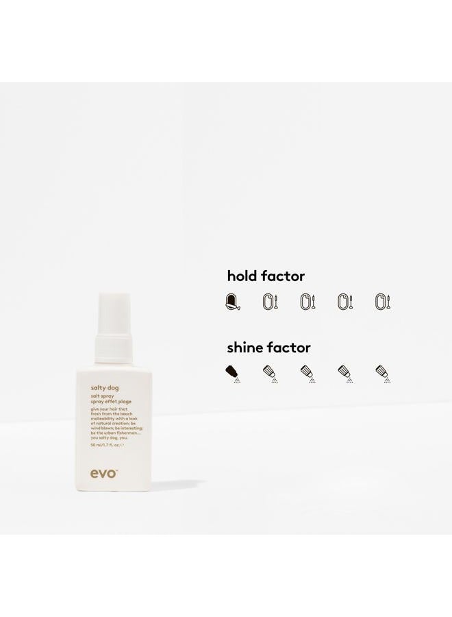EVO Salty Dog Sea Salt Hair Spray for All Hair Types - Beachy Hair Texture & Volumizing Spray with Matte Finish - 1.7 fl oz, Travel Size - Image 2