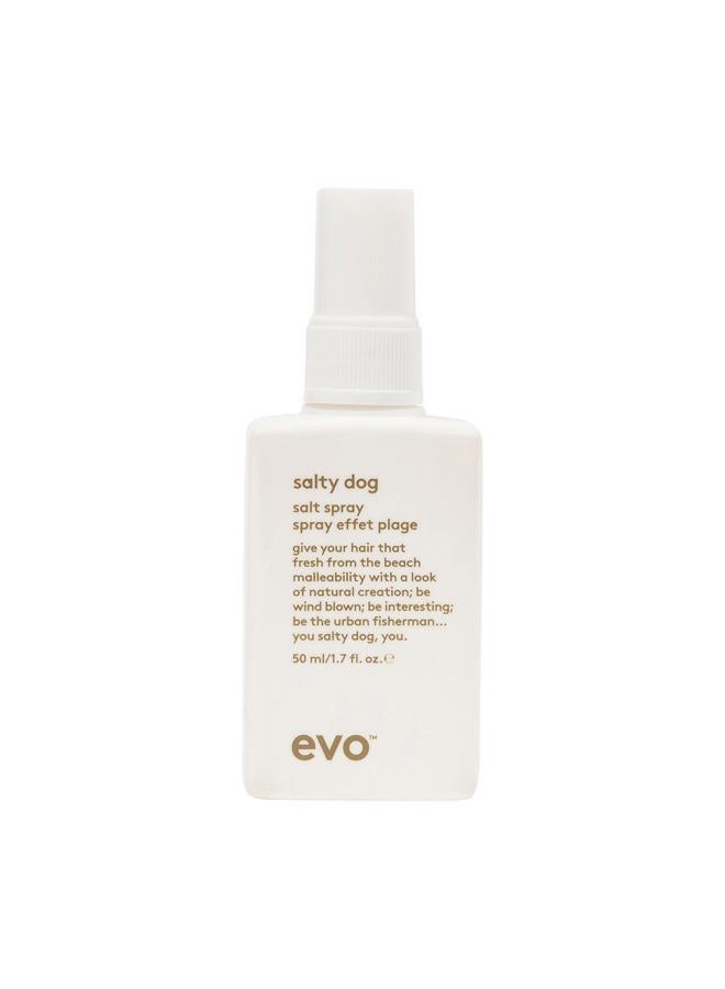 EVO Salty Dog Sea Salt Hair Spray for All Hair Types - Beachy Hair Texture & Volumizing Spray with Matte Finish - 1.7 fl oz, Travel Size - Image 1