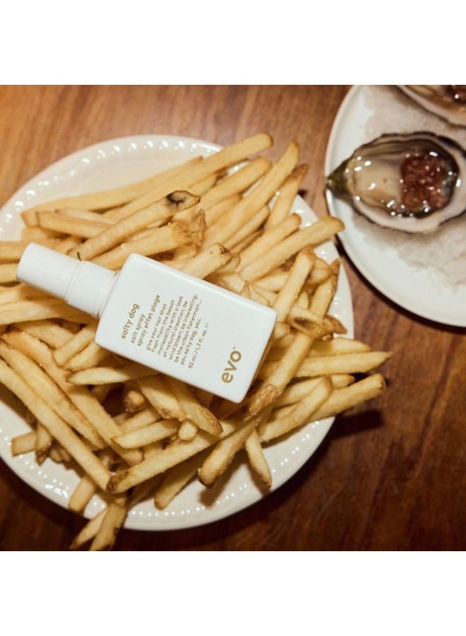 EVO Salty Dog Sea Salt Hair Spray for All Hair Types - Beachy Hair Texture & Volumizing Spray with Matte Finish - 1.7 fl oz, Travel Size - Image 5