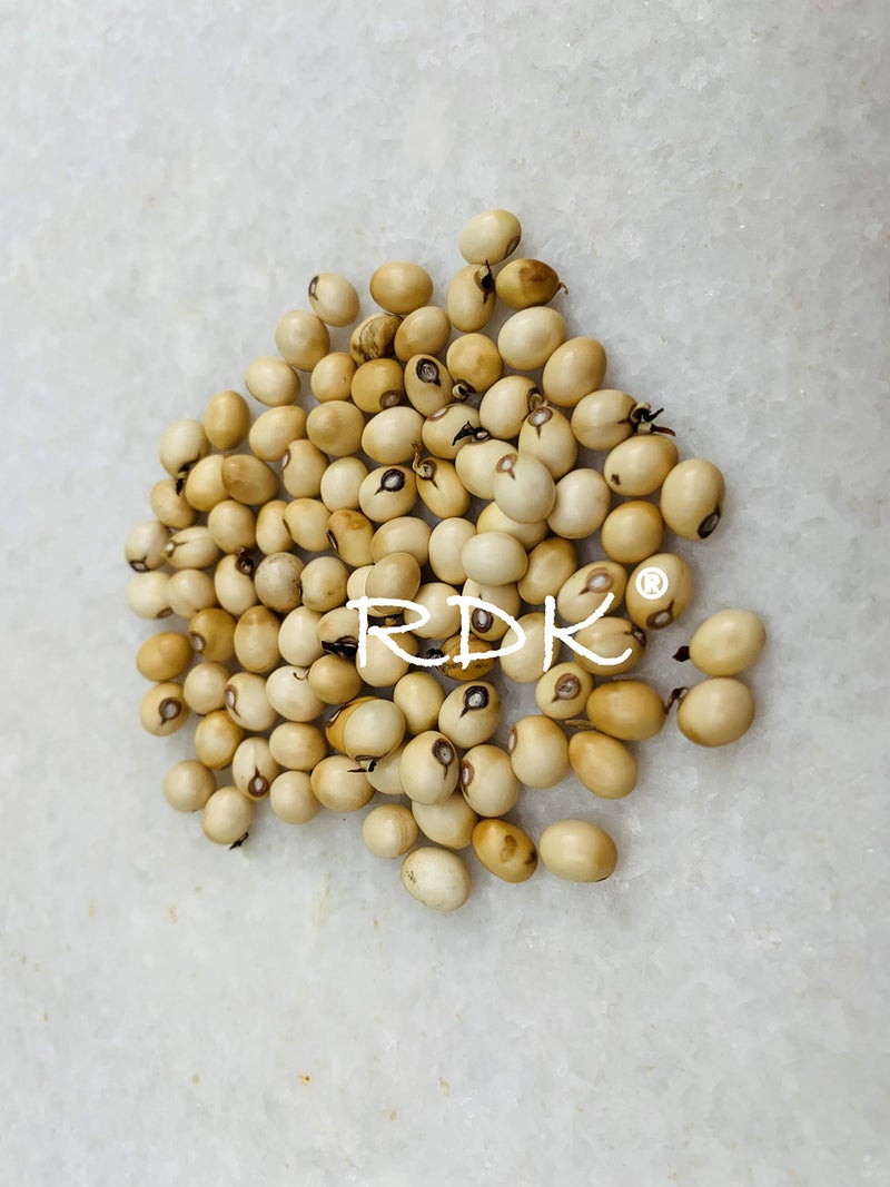 RDK Natural Original White Gunja Ratti Chirmi Bead Abrus Precatorius Jequirity Rosary Pea Jaapmala Making Beads for Meditation & Pooja Astrology Organic Jewellery - 51 Beads - Image 2