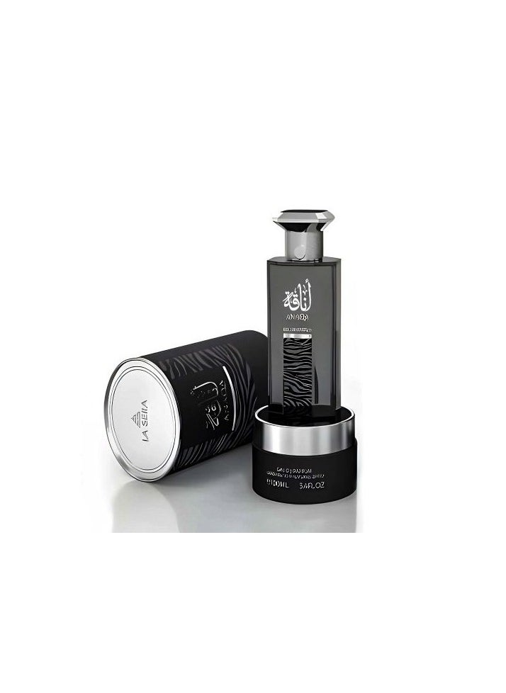 عطر أناقة للجنسين 100 مل - pzsku/Z503967A4DDEC8883F394Z/45/_/1726924491/e6c93fa4-c489-44c2-8a64-ab7893ed7d27