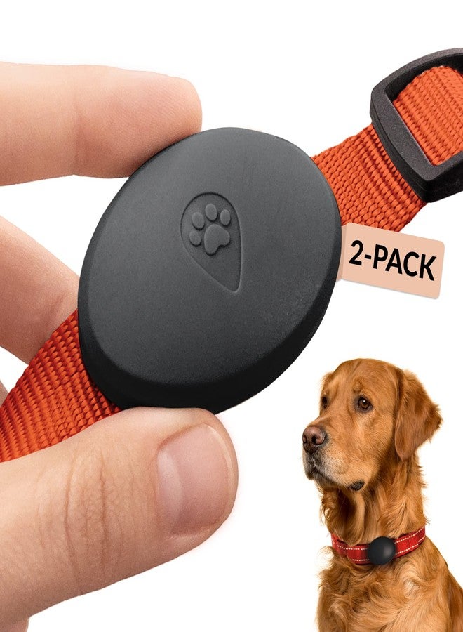 CollarDirect Holder Compatible with Airtag for Dog Collar, 2 Pack - Waterproof and Durable Case That Protects Your Airtag - Fits All Dog and Cat Collars - Airtag Not Included - Image 1
