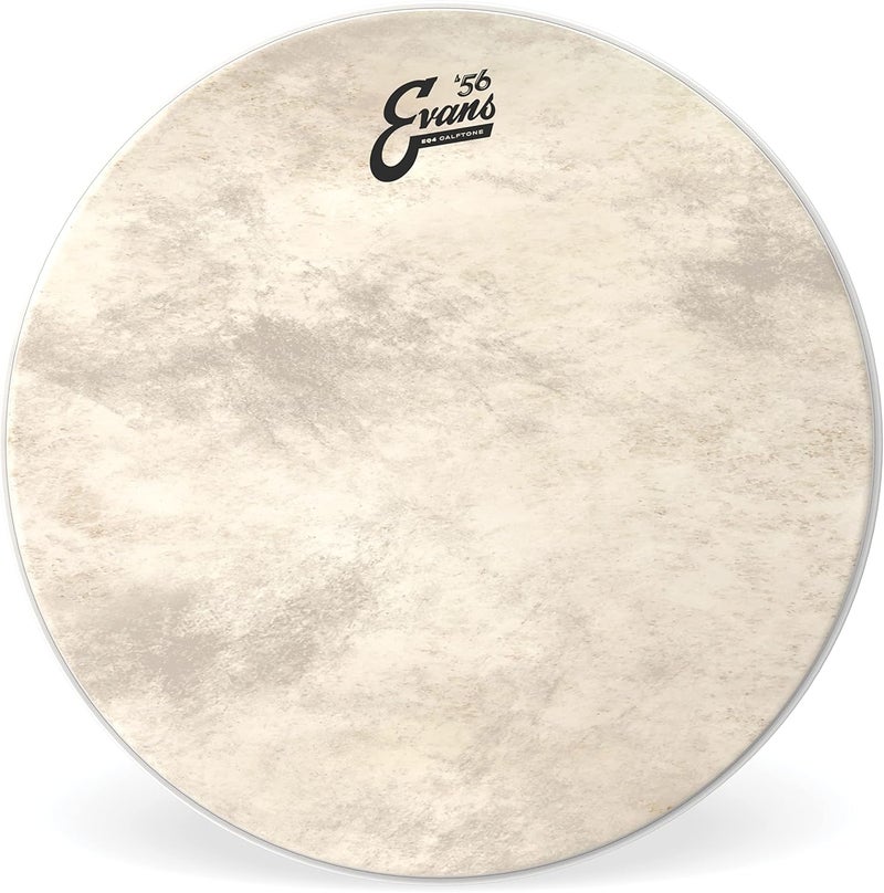 EVANS EQ4 Calftone Bass Drum Head, 20" - Image 1