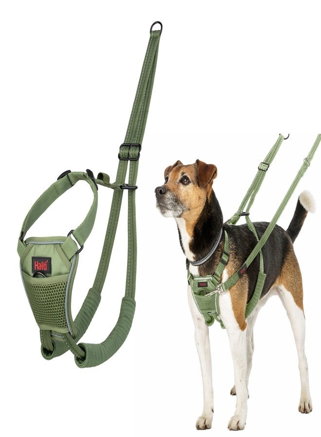 Halti No Pull Harness - Stop Your Dog Pulling on The Leash. Adjustable, Lightweight and Easy to Use. Reflective Dog Training Harness for Toy and Small Dogs (Size XS, Forest Green)