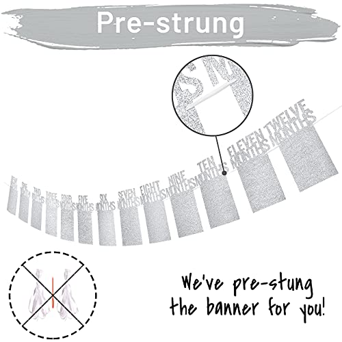 PartyHooman 1st Birthday Photo Banner for Baby from Newborn to 12 Months, First Birthday Decorations Girl Monthly Milestones Garland | First Photo Banner Pre-strung with Frame (Silver) - Image 2