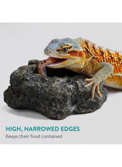 Navaris Navaris Reptile Feeder - for Tortoise Bearded Dragon Snake & Amphibians - Accessories for Reptiles Terrarium Enclosure - Use As Food or Water Bowl Dish or Bath  - Image 3