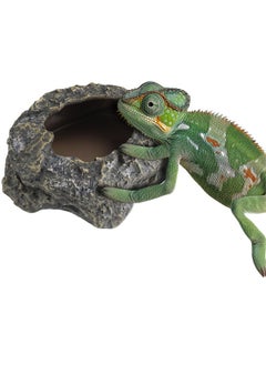 Navaris Navaris Reptile Feeder - for Tortoise Bearded Dragon Snake & Amphibians - Accessories for Reptiles Terrarium Enclosure - Use As Food or Water Bowl Dish or Bath  - Image 1