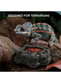 Navaris Navaris Reptile Feeder - for Tortoise Bearded Dragon Snake & Amphibians - Accessories for Reptiles Terrarium Enclosure - Use As Food or Water Bowl Dish or Bath  - Image 2