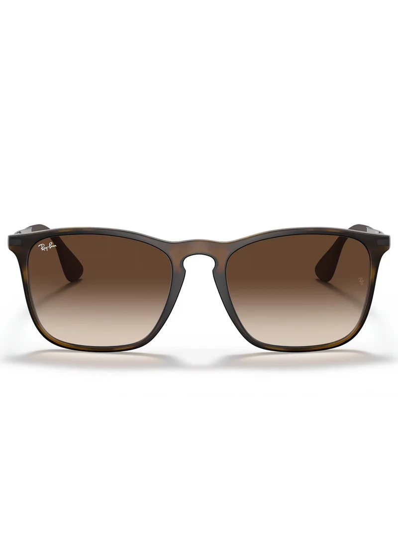 Ray-Ban 0Rb3765 Irregular Sunglasses