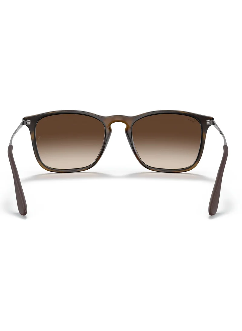 Ray-Ban 0Rb3765 Irregular Sunglasses