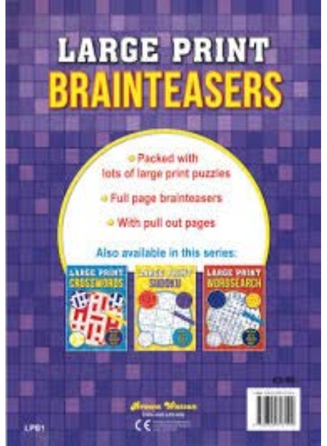 LARGE PRINT WORD SEARCH 3 - Image 2