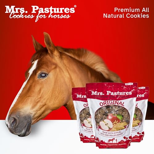 Mrs. Pastures Mrs Pastures Cookies and Treats for Horses - Premium Horse Treats - Made with Apples, Oats, and Rolled Barley - Preservative Free - All Natural Ingredients - No Corn or Soy - Made in USA - (32oz Jar) - Image 3