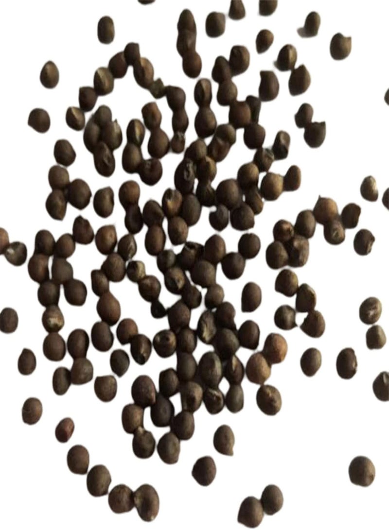 جي جوت 50 قطعة/حقيبة من بذور الكركديه المزهرة جيدًا والنمو السريع والصديقة للبيئة وبذور الكركديه الحمراء لنباتات البونساي وشتلات الكركديه سهلة الزراعة - Image 1