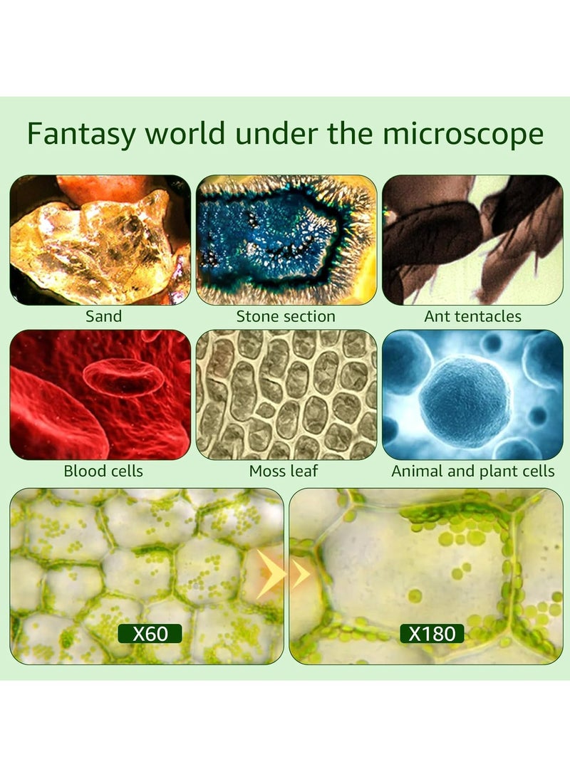 Portable Microscope for Kids, Handheld Miniscope for Kids, Mini Labsters Portable Microscope for Kids Ages 8-12, Pocket Microscope 60x-180x, for STEM Educational Toy, Scientific Experiment - Image 3