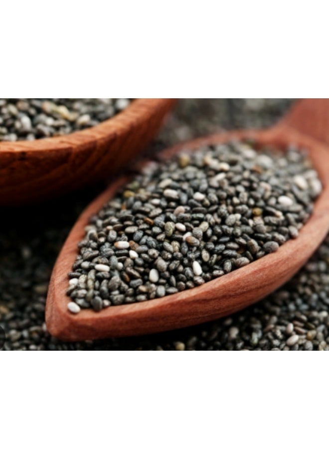 500Pcs Herb Sage Seeds Salvia Seeds For Home Garden Planting - Image 3