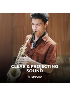 D'Addario Rico Saxophone Reeds - Reeds for Alto Saxophone - Thinner Vamp Cut for Ease of Play, Traditional Blank for Clear Sound, Unfiled for Powerful Tone - 2.5 Strength - Made in the USA - 10-Pack - pzsku/Z5048C9E59781411F088AZ/45/_/1740118125/37843f4e-6c70-4e60-9a61-6c29a3460ab2