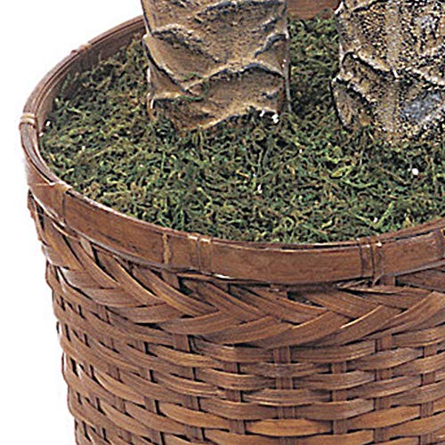 Nearly Natural نباتات نخيل الساغو الاصطناعية بطول 6 أقدام و 4 أقدام في وعاء مزدوج، نباتات نخيل مزيفة مع جذعين واقعيين و 80 ورقة نخيل حيوية في سلة من الخوص البني بطول 10 إنش لتزيين المنزل الداخلي - Image 5